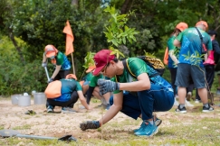 AP SAIGON PETRO GIVES AWAY TREES AND PLANS FORESTS AT NUI CHUA NATIONAL PARK – JOIN HANDS FOR A GREEN FUTURE